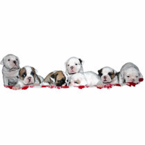 Fotoskulptur (photo sculpture) puppies 2010