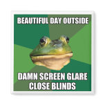 Foul Bachelor Frog Beautiful Day magnets