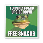 Foul Bachelor Frog Free Snscks magnets