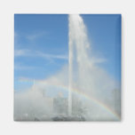 Fountain at the Point Fridge Magnets