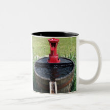 Fountain of Youth Mugs
