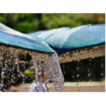 Fountains At The Birch Aquarium In La Jolla photo sculptures