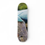 Fountains At The Birch Aquarium In La Jolla Skateboard Deck