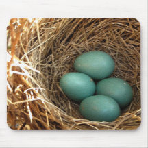 Four American Robin Eggs Mousepads