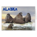 Four Brothers cards