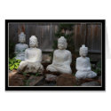 Four Buddhas cards