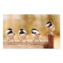 Four chickadees