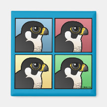 Four Colour Peregrine Magnets