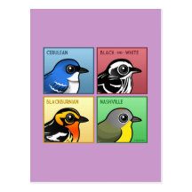 Four Colour Warblers Post Cards