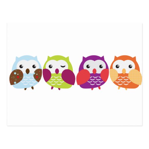 Four Colourful Owls Post Card