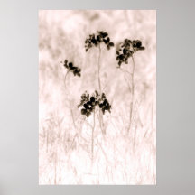 Four Flowers Print