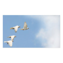 Four flying doves business card