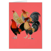 Four Game Cocks Cards