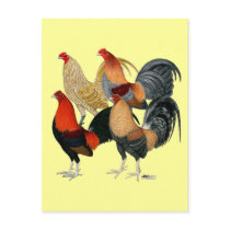 Four Game Cocks Post Cards
