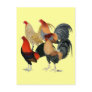 Four Game Cocks Post Cards