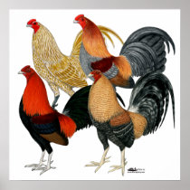 Four Game Cocks Poster