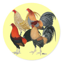Four Game Cocks Round Stickers