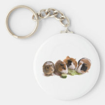 four guinea pigs who eat, porte-clefs