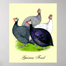Four Guineas Posters