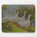 Four Irish Geese pastel drawing by Joanne Casey -  Mousemat