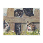 "Four Kittens Playing" Vintage Postcards