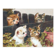 "Four Kittens" Vintage Post Card