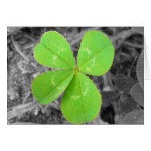 Four Leaf Clover Card - Black, White, and Colour