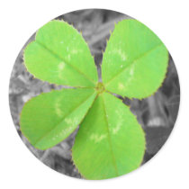 Four Leaf Clover Sticker- Black and White, Colour