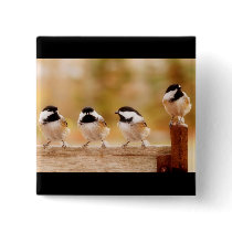 Four little chickadees button