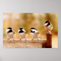 four little chickadees posters