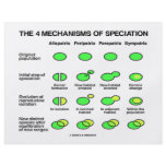 Four Mechanisms Of Speciation (Evolution) flyers