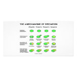 Four Mechanisms Of Speciation (Evolution) photo cards