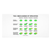Four Mechanisms Of Speciation (Evolution) Custom Photo Card