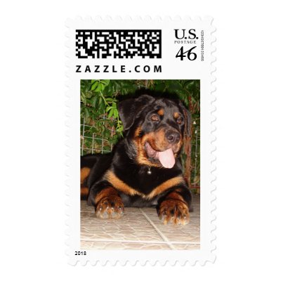 Four Months of Fluff Postage Stamp by taiche