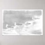 Four Seagulls posters