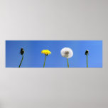 Four Seasons of Life posters