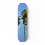 Four Trees In Point Loma skateboards