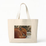 Fox day dreaming bags