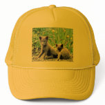 Fox hats