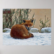 Fox in the snow print