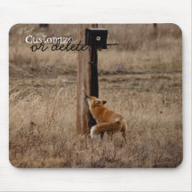 Fox Loves Utility Pole; Customisable Mouse Mat