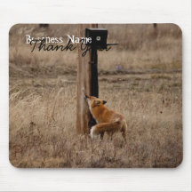 Fox Loves Utility Pole; Promotional Mousepad