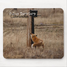Fox Loves Utility Pole; Yukon Territory Souvenir Mouse Pads