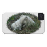Fox Naptime Case-mate Iphone 4 Cases