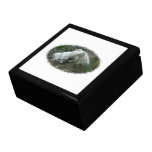 Fox Naptime Keepsake Boxes