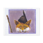 Fox Postcard Asturian Fox Asturias Spain