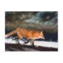Fox Runs In Snow Post Card