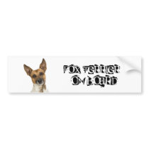 Fox Terrier on Board