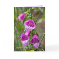 Foxglove Greeting Card