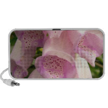 Foxglove Speakers